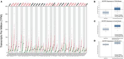 DCTPP1, an Oncogene Regulated by miR-378a-3p, Promotes Proliferation of Breast Cancer via DNA Repair Signaling Pathway